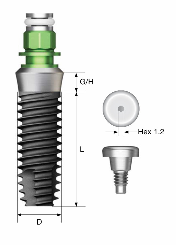 Osstem SS impl