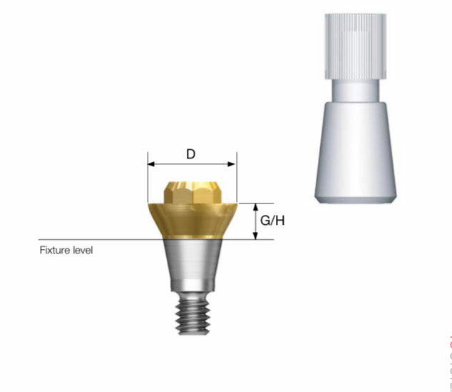 convertible abutment